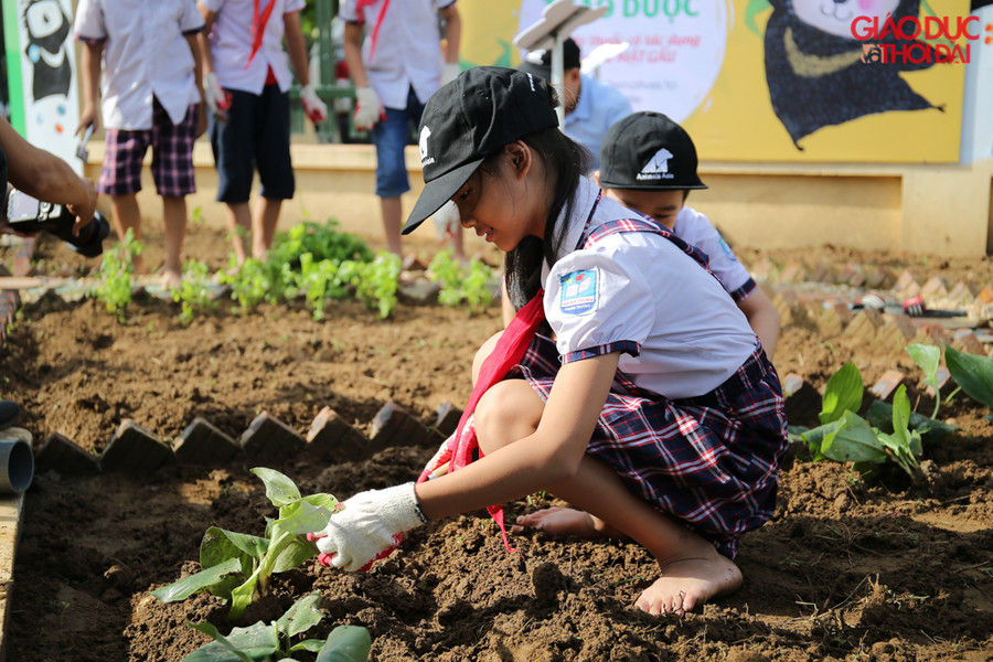 Khu vườn rộng khoảng 100 m2, với 32 cây thuốc, vị thuốc có tác dụng thay thế mật gấu do Trung ương Hội Đông Y Việt Nam biên soạn.