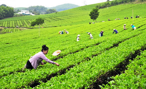 Chính phủ yêu cầu các bộ, ngành, địa phương phải chủ động, linh hoạt hơn nữa trong điều hành, nỗ lực phấn đấu hoàn thành mục tiêu năm 2017. Ảnh minh họa/internet