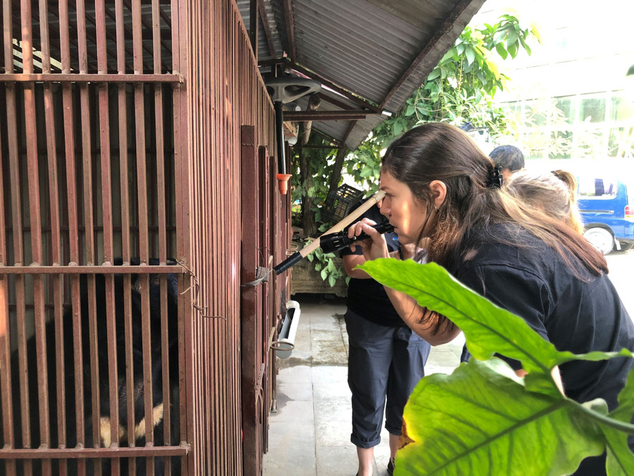 Bác sỹ thú y Kate đang kiểm tra lâm sàng tình trạng sức khoẻ của gấu.