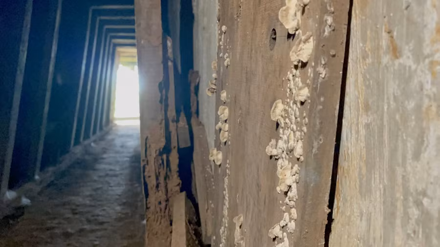 Tại cửa số 6, gỗ ốp trên cửa bị ăn mòn, hư hỏng.