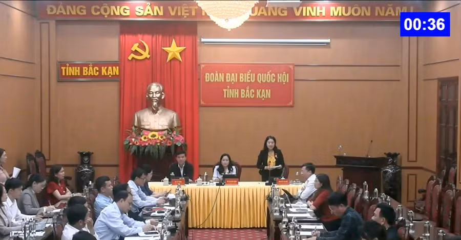 Đại biểu Nguyễn Thị Huế (Đoàn ĐBQH tỉnh Bắc Kạn)