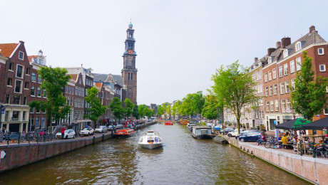 Ghe chau Au xem hoa xuan dua no - Anh 5