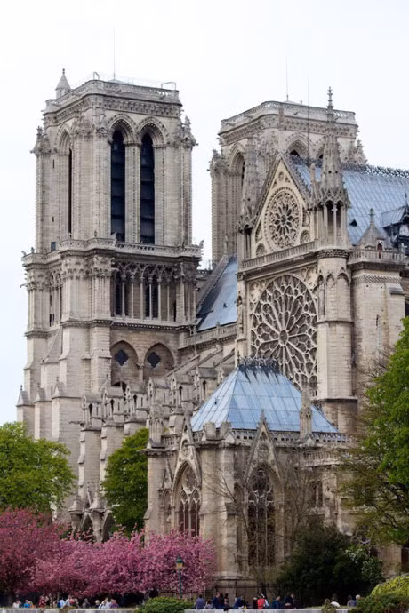 Ghe chau Au xem hoa xuan dua no - Anh 2