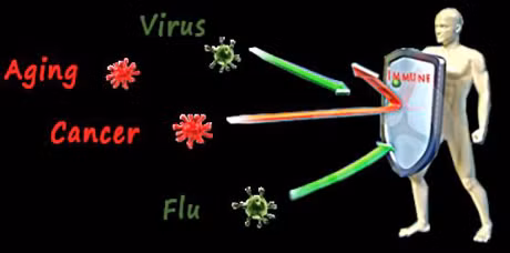 Bi quyet de giu he mien dich luon khoe manh - Anh 3