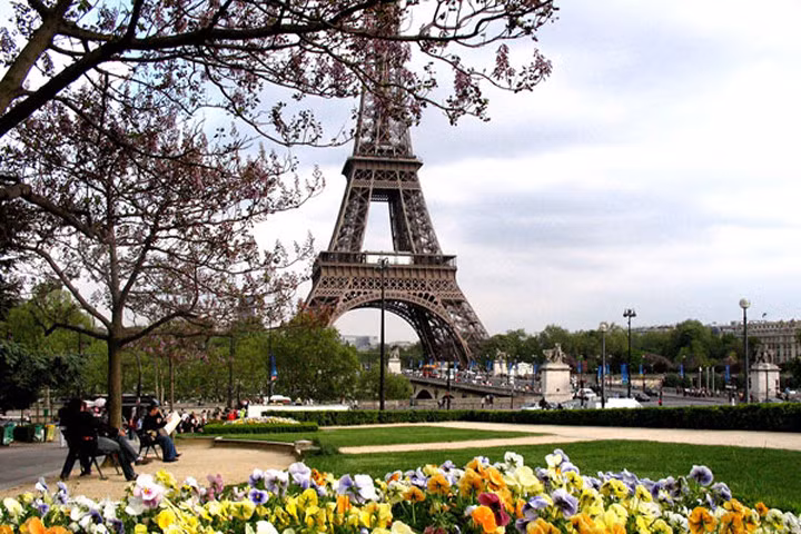 Mãn nhãn ngắm hoa xuân đua nở ở châu Âu