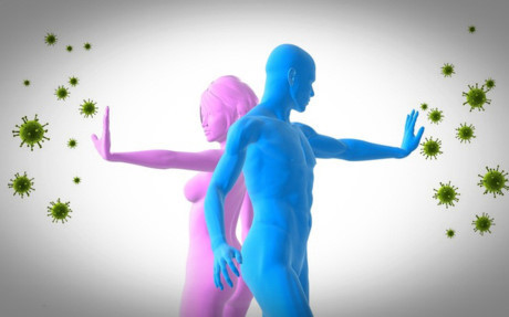 Bi quyet de giu he mien dich luon khoe manh - Anh 2