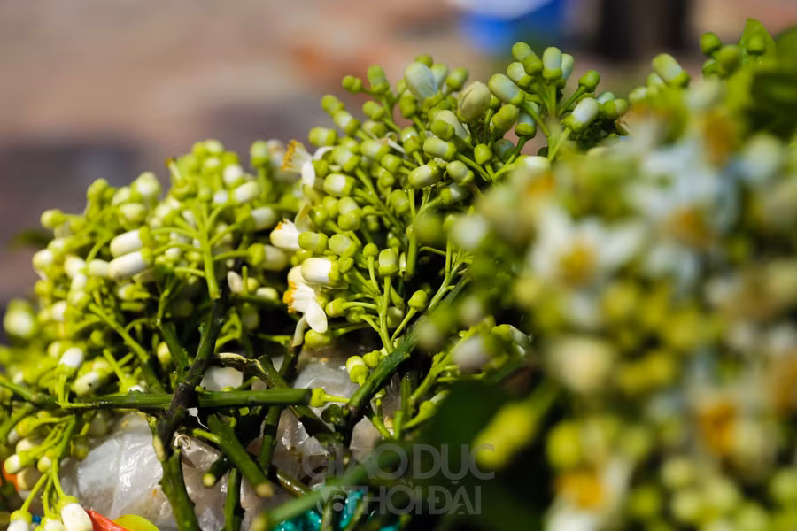 Hoa bưởi có giá dao động từ 20.000 - 30.000 nghìn đồng/lạng, được xếp ngay ngắn trên các xe hoa.