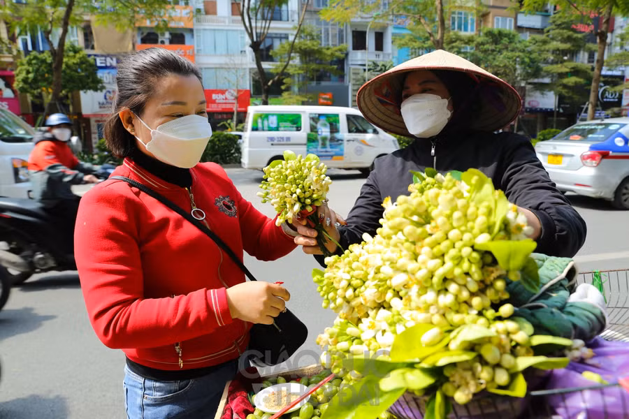 Mùa hoa bưởi về là thời điểm chuyển giao giữa tháng, kết thúc cái se se lạnh của mùa xuân và báo hiệu mùa hè sắp về.