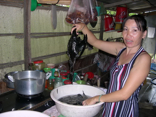 Người phụ nữ này đang làm thịt con chim còng cọc ở một quán nhậu