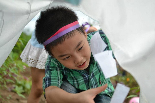 Trẻ háo hức nhận biết và tìm ảnh các loại rau quả. image007.jpg