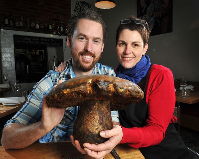 Australian mushroom forager Matt Donnelly stumbled across this enormous 2.7kg boletus mushroom while out mushrooming in a pine plantation in Melbourne
