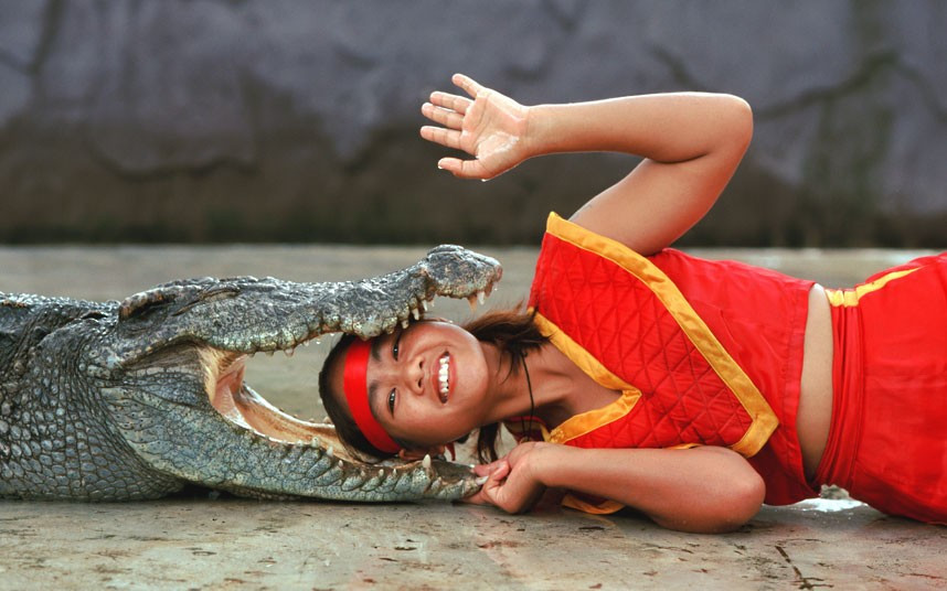 Ảnh động vật đẹp trong tuần ảnh 7 A woman smiles and waves as she rests her head in the jaws of a crocodile during a show at Sriracha Tiger Zoo in Sriracha, Thailand