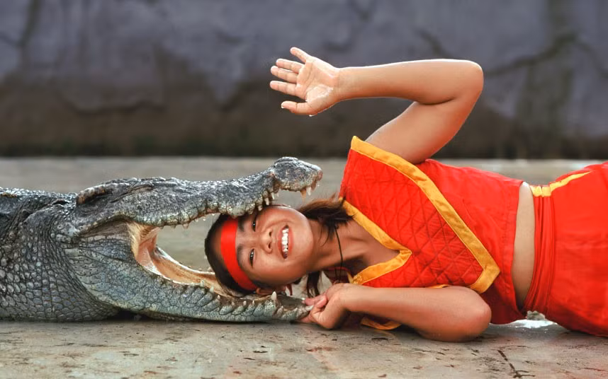 A woman smiles and waves as she rests her head in the jaws of a crocodile during a show at Sriracha Tiger Zoo in Sriracha, Thailand