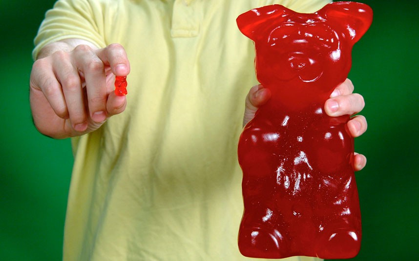 Những hình ảnh ấn tượng trong tuần ảnh 7 A man shows off the world’s largest gummy bear, which is 1,400 times the size of the ordinary sweet. The giant gummy bear, which weighs about five pounds, was produced by gift retailer Vat19 and costs about £20.