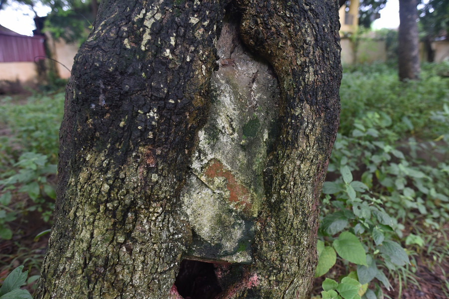 "Khối vàng lộ thiên" hàng trăm tuổi tại Hà Nội ảnh 5