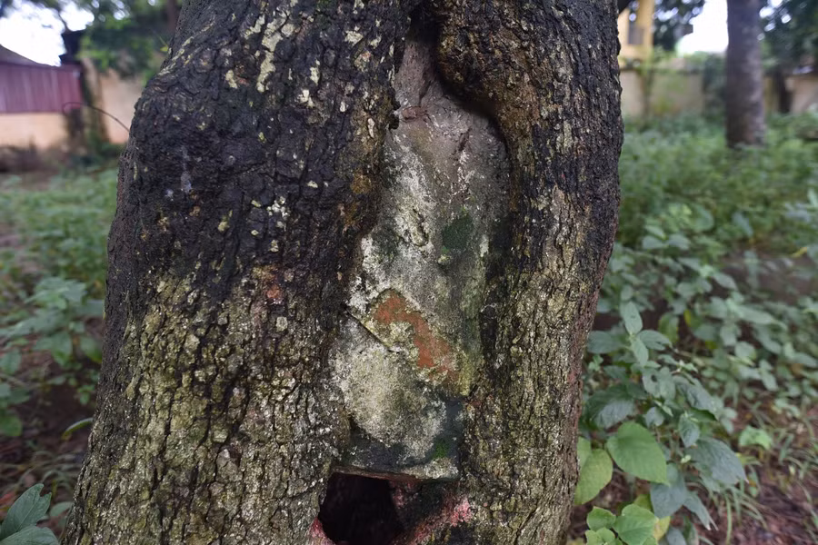 "Khối vàng lộ thiên" hàng trăm tuổi tại Hà Nội ảnh 5