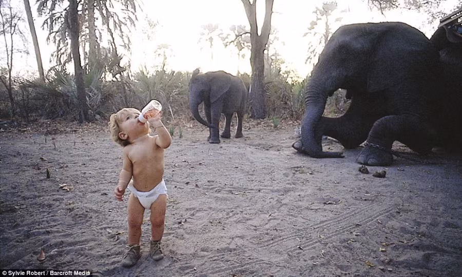 Unique start: Tippi, aged one and a half, drinking from her bottle among an elephant herd in Okavango Swamps, Botswana Read more: http://www.dailymail.co.uk/news/article-2337418/The-REAL-Mowgli-Incredible-images-little-girl-spent-years-life-growing-African-bush.html#ixzz2Vajrsfo1 Follow us: @MailOnline on Twitter | DailyMail on Facebook