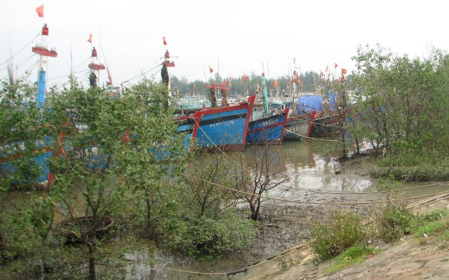 Đề phòng lũ quét, lũ ống từ cơn bão số 2