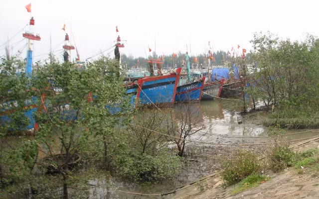Đề phòng lũ quét, lũ ống từ cơn bão số 2