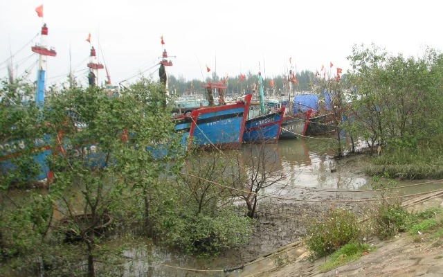 Đề phòng lũ quét, lũ ống từ cơn bão số 2