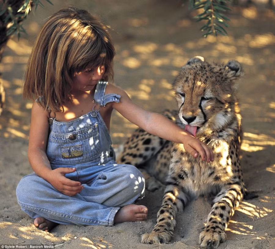 Real life Mowgli: Photos of Tippi, a girl who spent the first ten years of her life growing up in the African bush, have been released for the first time Read more: http://www.dailymail.co.uk/news/article-2337418/The-REAL-Mowgli-Incredible-images-little-girl-spent-years-life-growing-African-bush.html#ixzz2Vak325Qo Follow us: @MailOnline on Twitter | DailyMail on Facebook
