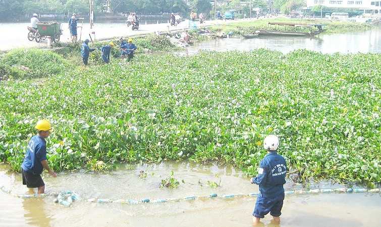 Nông dân gồng mình chống hạn