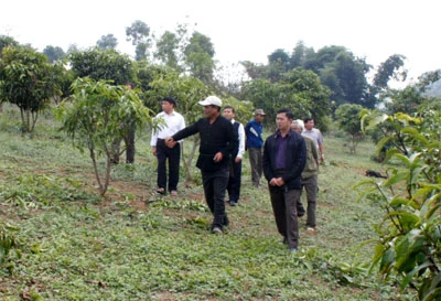 Ban hành Nghị quyết Hội nghị Trung ương 7 về công tác dân vận