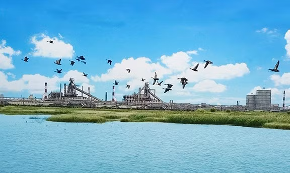 Hệ thống các hồ thủy sinh với hệ sinh thái đa dạng trong khuôn viên Nhà máy