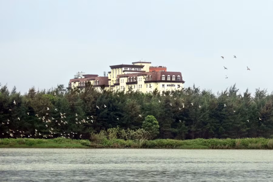 Từng đàn chim, nhất là cò, cói, vịt trời.... rủ nhau di cư về đây ngày càng nhiều