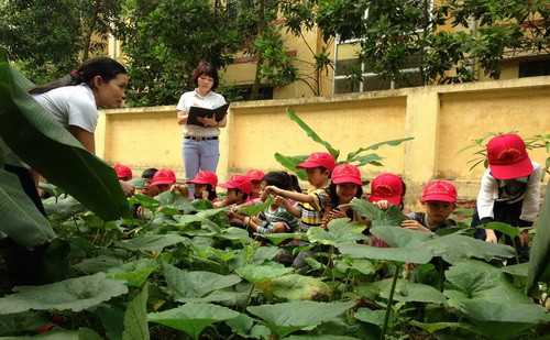 Cô Lê Thị Thắng đến kiếm tra chất lượng vườn rau. Cô Lê Thị Thắng đến kiếm tra chất lượng vườn rau.