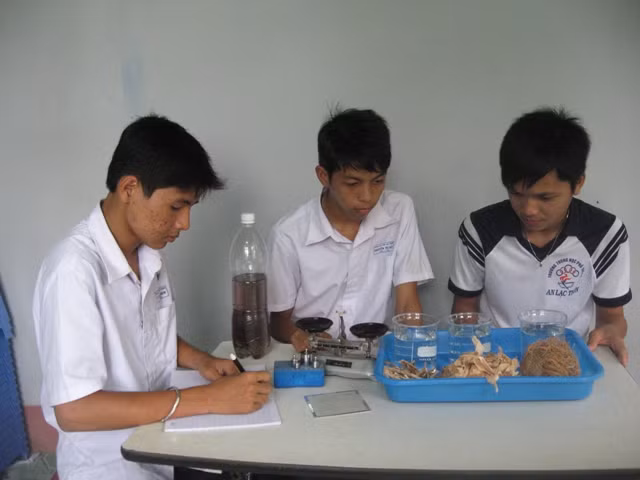 "Thu dầu loang bằng vỏ tràm" được chọn đi tranh tài tại Thụy Điển