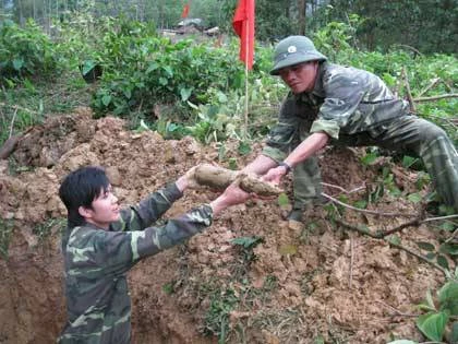 Phát hiện 14 quả bom bi trong vườn nhà