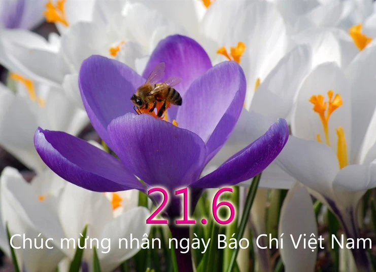 &quot;Nhà báo - Sự kiện &amp; Nhân chứng&quot; lần thứ IV