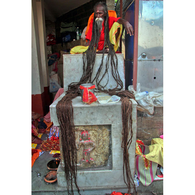 Những hình ảnh ấn tượng trong tuần ảnh 12 A Sadhu, a Hindu holy man, displays his hair to attract donations from devotees gathered at the Kamakhya temple in the northeastern Indian city of Guwahati