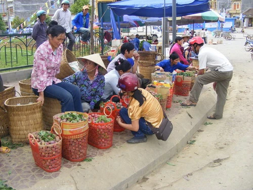 Mận Bắc Hà chính vụ trúng giá cao