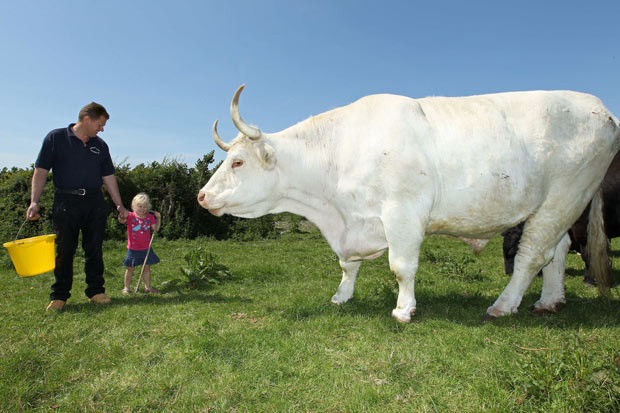 Gary Bowden and his three-year-old daughter Sophie stand next to Field Marshall, Britain