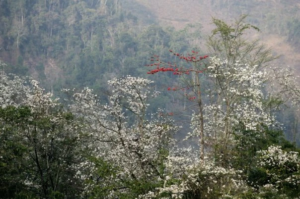 Trang thơ của các nhà báo