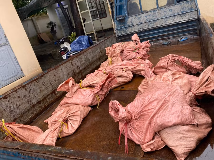 Tang vật của vụ án.