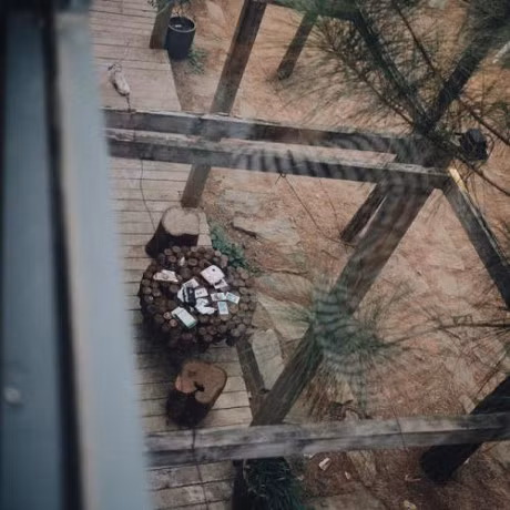 Dia diem check-in hot nhat Giang sinh nam nay khong the bo qua - Anh 2