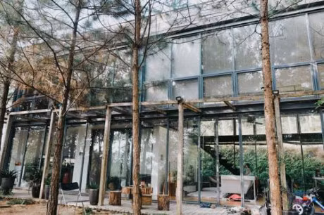 Dia diem check-in hot nhat Giang sinh nam nay khong the bo qua - Anh 5