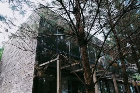 Dia diem check-in hot nhat Giang sinh nam nay khong the bo qua - Anh 3