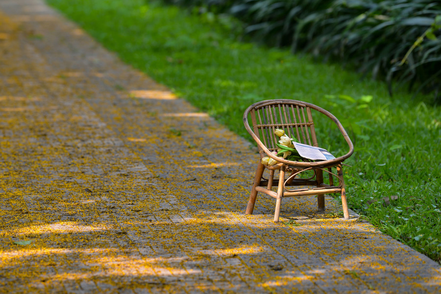 Góc phố dịu dàng tháng Tư... Góc phố dịu dàng tháng Tư...