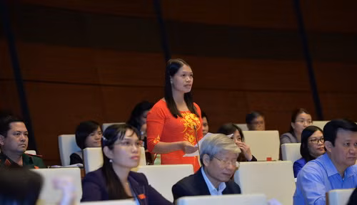 Đại biểu Quốc hội Đinh Thị Bình - Đoàn Phú Thọ