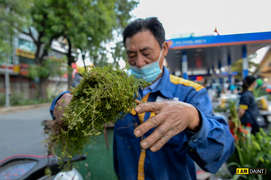 Mùi già thơm dịu chiều cuối năm trên mỗi con phố Hà Nội ảnh 7 Mùi già thơm dịu chiều cuối năm trên mỗi con phố Hà Nội ảnh 7