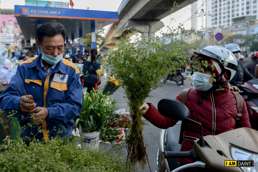 Mỗi bó mùi già được bán với giá 10.000 đồng. Mỗi bó mùi già được bán với giá 10.000 đồng.