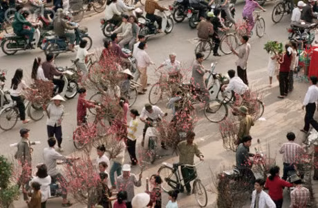 Bang khuang hoai niem Tet thoi gian kho - Anh 1