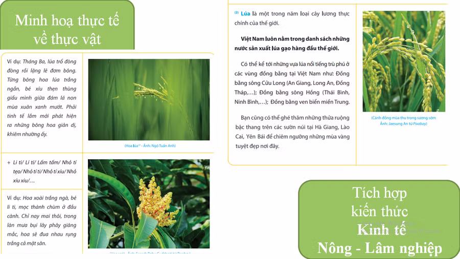 Nội dung tích hợp theo đúng tiêu chí đổi mới GDPT yêu cầu