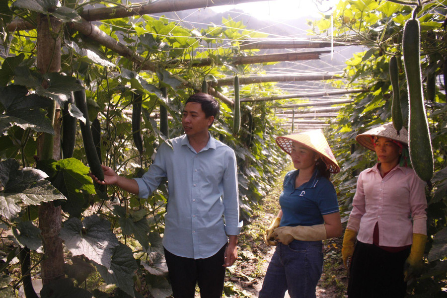 Mô hình trồng bí xanh của hội viên nông dân bản Đông đang cho hiệu quả tốt. Mô hình trồng bí xanh của hội viên nông dân bản Đông đang cho hiệu quả tốt.