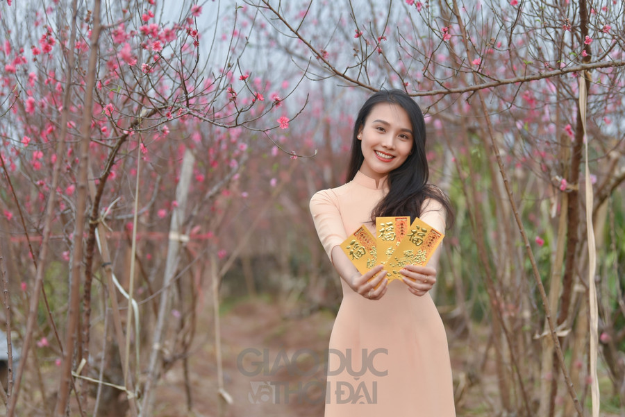 Đào Nhật Tân bung nở nhuộm đỏ một góc trời Hà Nội ảnh 27 Đào Nhật Tân bung nở nhuộm đỏ một góc trời Hà Nội ảnh 27