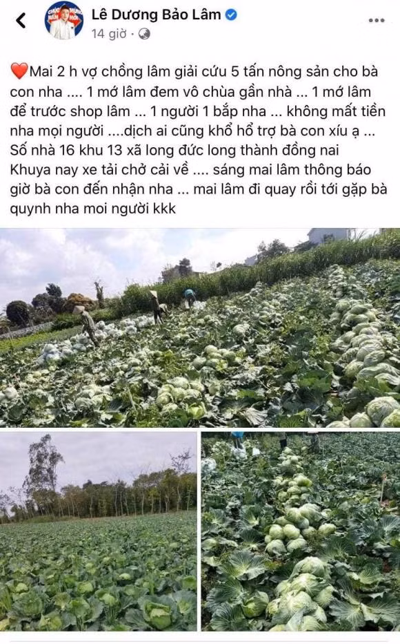 Nam diễn viên hài mua 5 tấn rau củ để giúp bà con giữa mùa dịch Covid-19. Hiện tại, bắp cải đã về đến Long Thành.